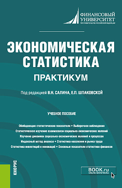 картинка Экономическая статистика. Практикум. (Бакалавриат). Учебное пособие. от магазина КНОРУС